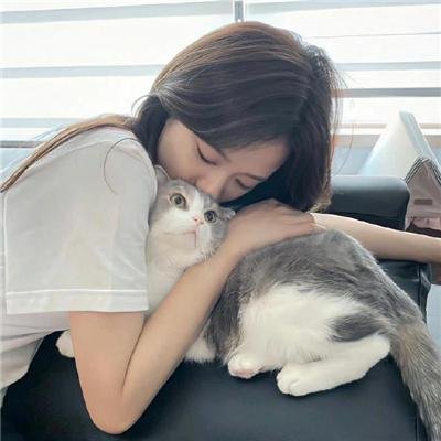 少年女仆海报