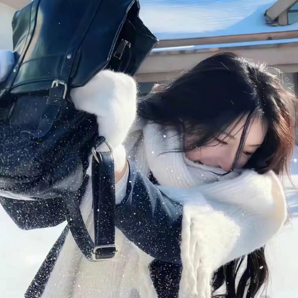 噗拢共探员海报