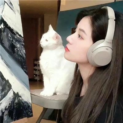 失散两生花海报
